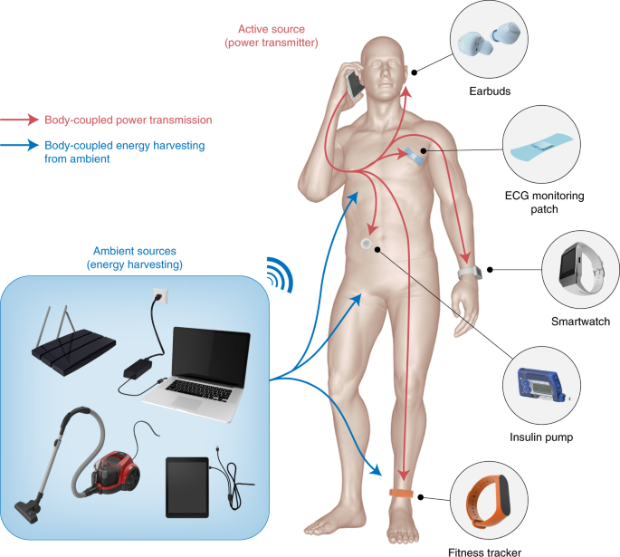 41928_2021_592_Fig1_HTML.png