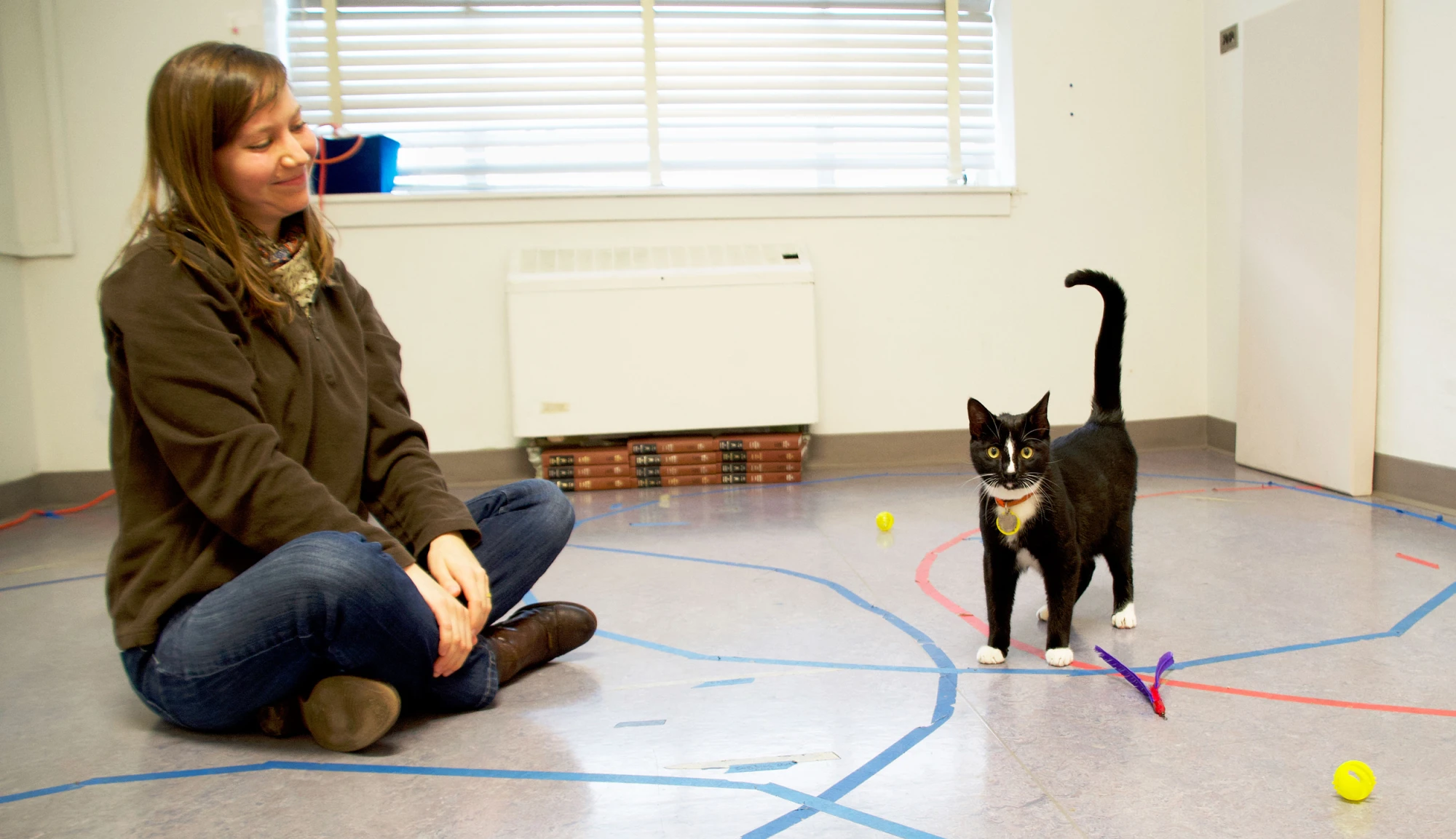 190920-kristyn-vitale-cat-2-ew-444p-3019821.webp