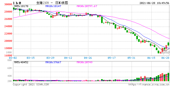 https://image.sinajs.cn/newchart/v5/png/min/futures/ndaily/LH0.png