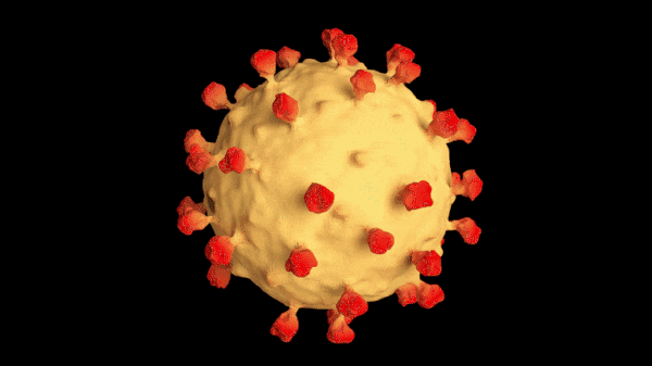 ezgif-6-c1daa9f2f42c.gif