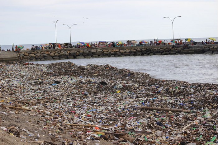 800px-Piles_of_rubbish_on_the_Puruih_beach.jpg