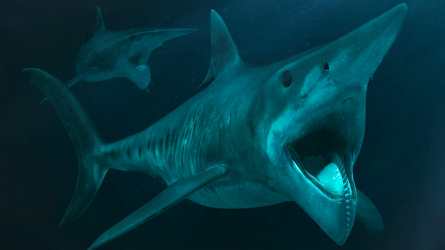 地球历史上的八大鲨鱼巨兽