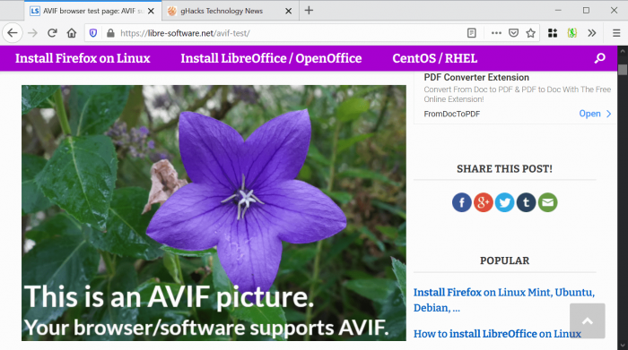 firefox-avif.png