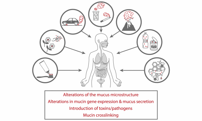 Sources-of-Particulate-Matter-and-Effects-2048x1229.png