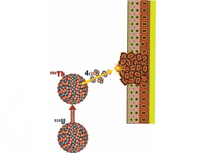 Alpha-Particle-Bombarded-Cancer-Tissue.jpg