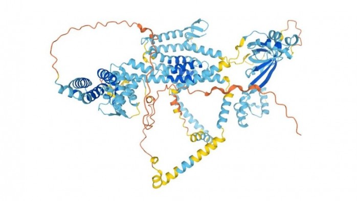 wolframin-alphafold-structure-prediction-945x532.jpg