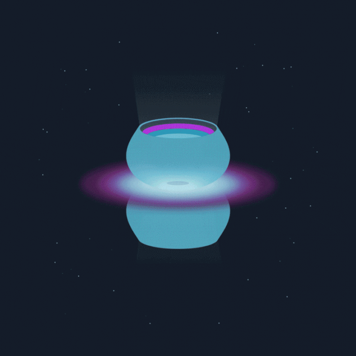 SS-433-Animation.gif