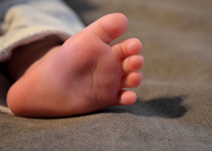 baby-feet-3534231_1280.jpg