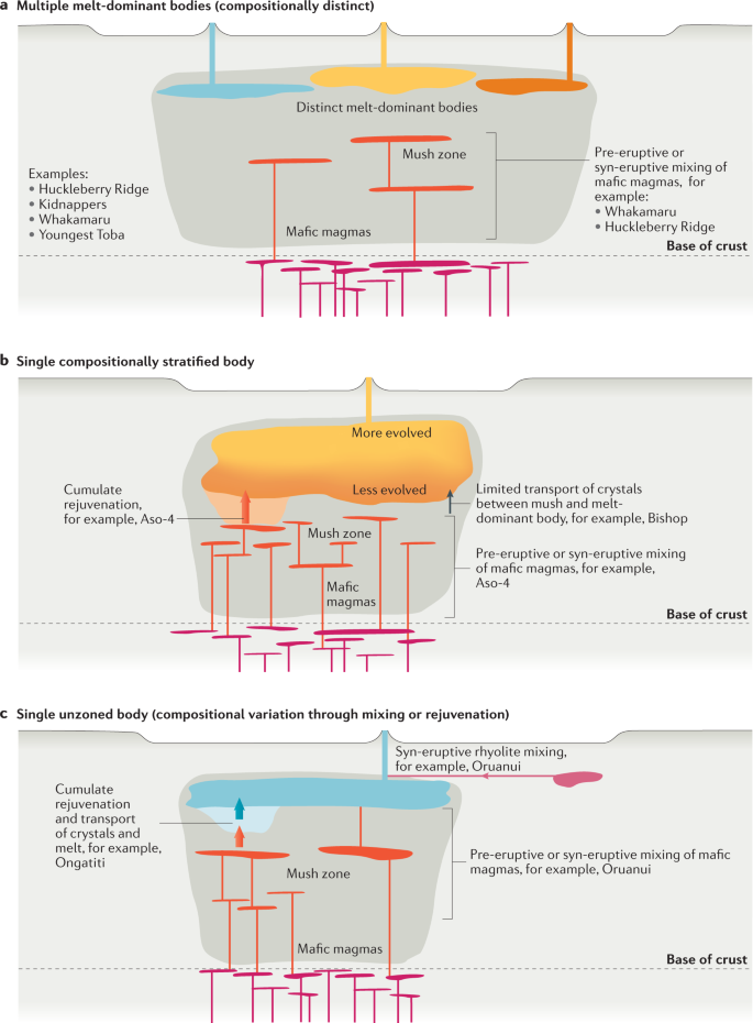 43017_2021_191_Fig3_HTML.png