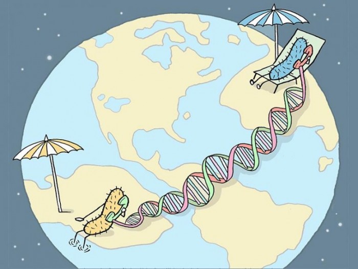 DNA-Calling-Illustration-777x584.jpg