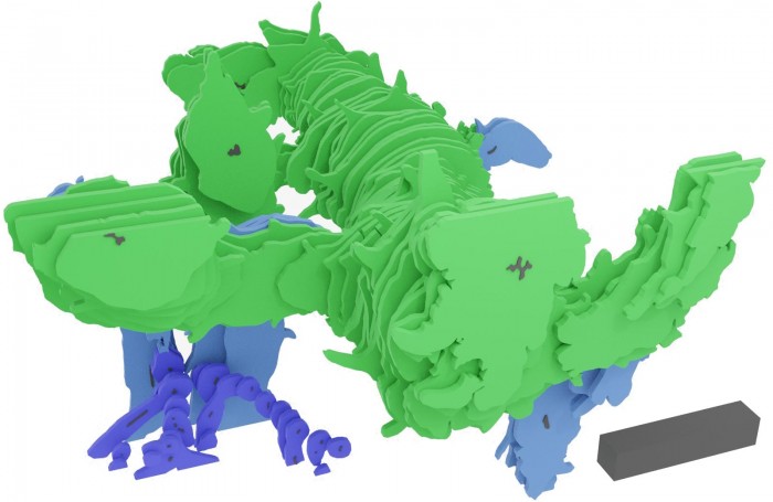 Asteroxylon-Mackiei-3D-Reconstruction.jpg