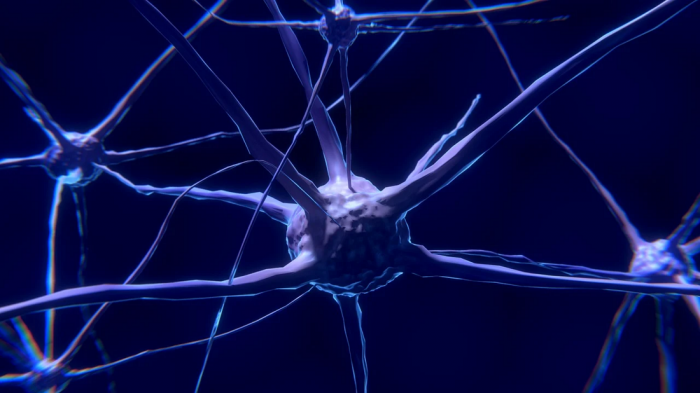 Screenshot_2021-08-31 nerve-cells-2213009_1280 webp（WEBP 图像，1280x720 像素） — 缩放 (87%).png