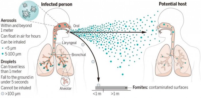Airborne-Transmission-of-Virus-Laden-Aerosols-777x378.jpg