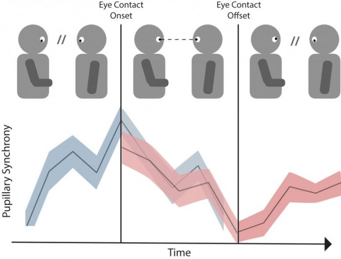 Making-and-Breaking-Eye-Contact-Makes-Conversation-More-Engaging-777x589.jpg