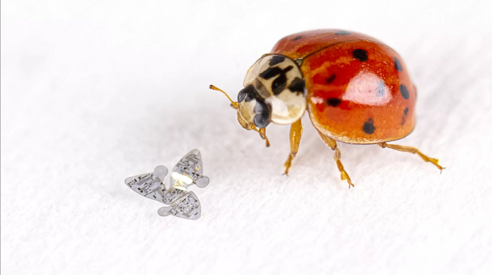 Screenshot_2021-09-23 microflier-4-ladybug-mod jpg（WEBP 图像，3049x1707 像素） — 缩放 (36%).png