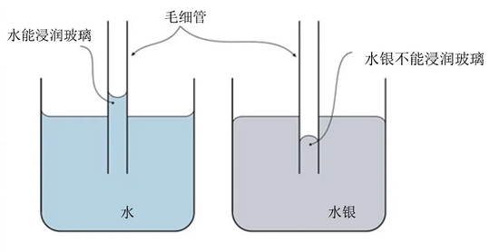 毛细管简图图片