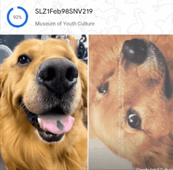 a.gif