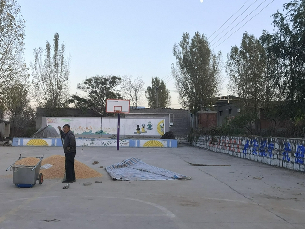 11月14日，赵冯冯曾跳舞的宰坡村的活动中心篮球场，有村民在晾晒粮食。 新京报记者 聂辉 摄