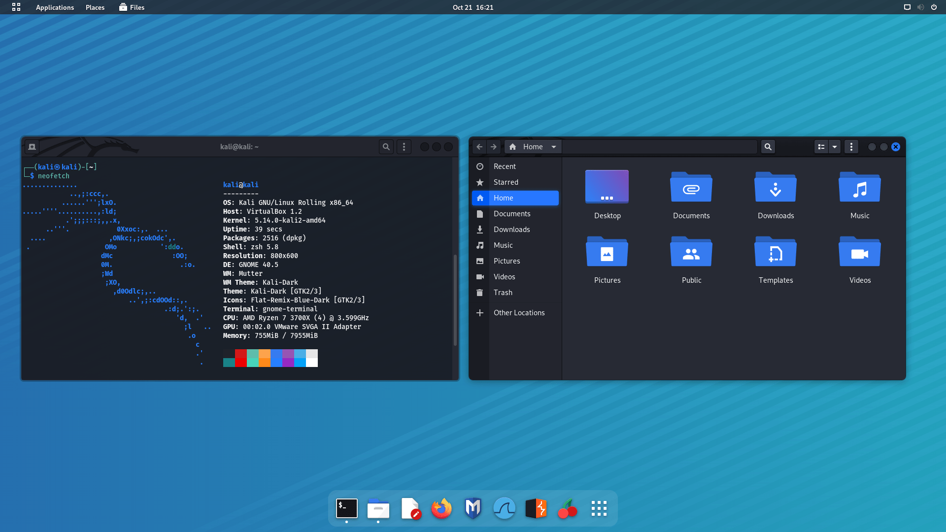 gnome41.png