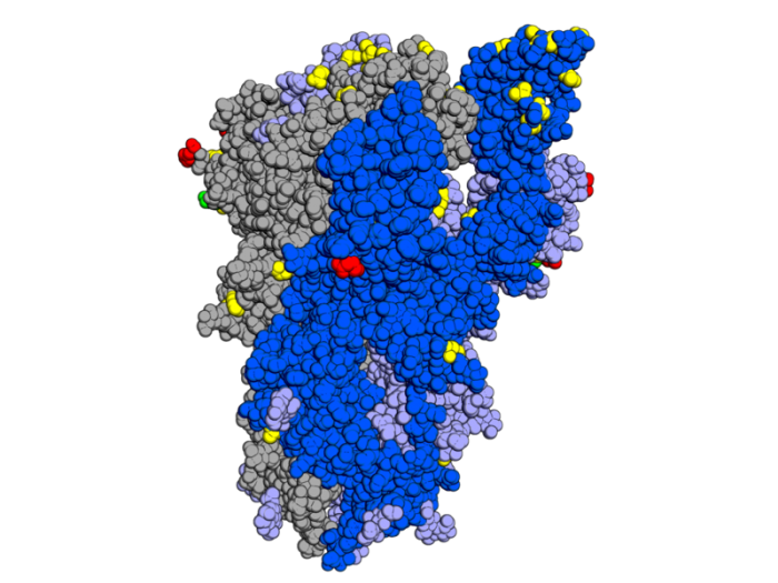 800px-Spike_omicron_mutations_side.png