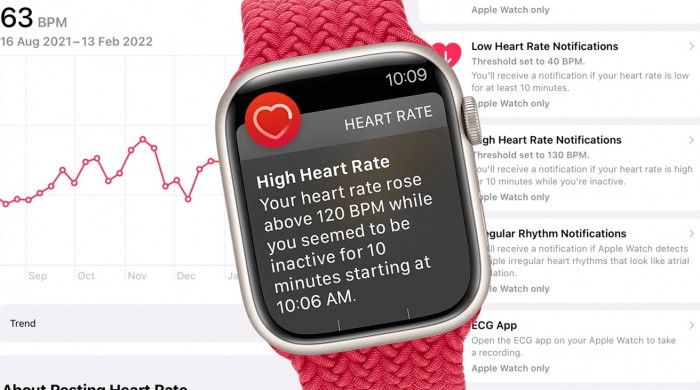 46961-91500-heart-rate-notifications-xl.jpg