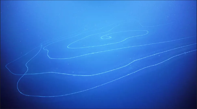 0bde-14ef9d333a7e9c0d532db15c4ce7d873.png