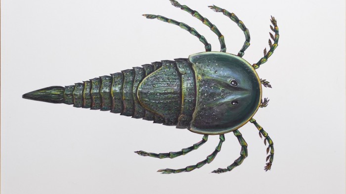科学家发现史前海蝎子新物种生活在252亿年前