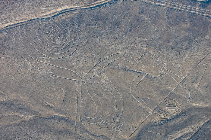 Líneas_de_Nazca,_Nazca,_Perú,_2015-07-29,_DD_49.JPG