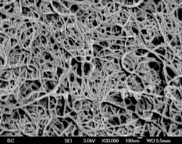 由碳纳米管制成的巴基纸可以阻挡直径50纳米以上的粒子通过。它具有独特的物理、化学、电学和机械性质。虽然可以折叠或剪断，但该材料强度极高。如果完全不含杂质，其强度可达同等体积钢铁的500倍。图为扫描电子显微镜下的巴基纸。