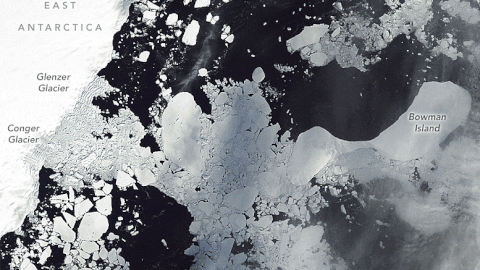 ezgif-5-57e2627396.gif
