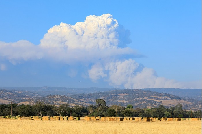 Pyrocumulus_cloud_produced_by_the_Dixie_Fire_on_July_22-5865.jpg