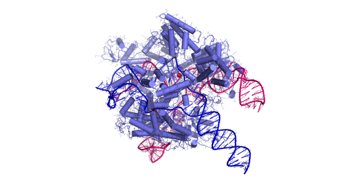 1600px-CRISPR_CAS9_technology.png