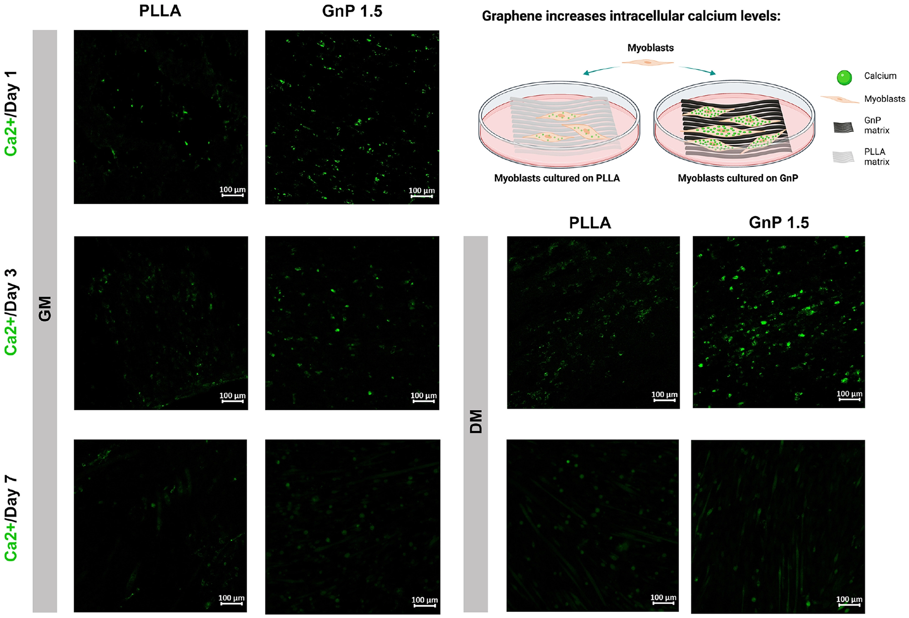 pnas.webp