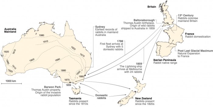 Rabbit-Colonization-Route.jpg