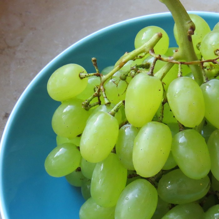 Green_grapes_in_turquoise_bowl.jpg
