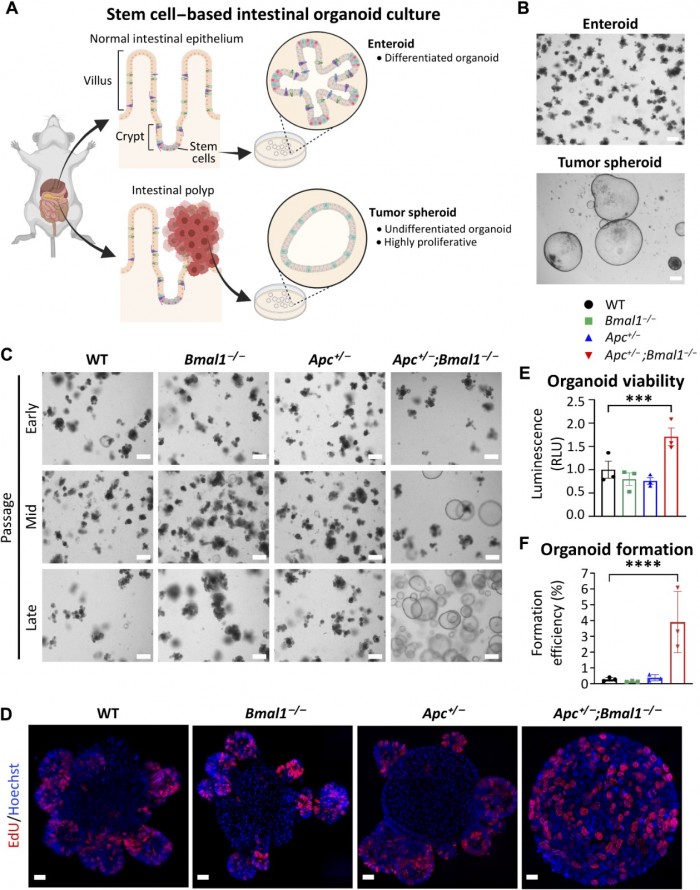 sciadv.abo2389-f2.jpg