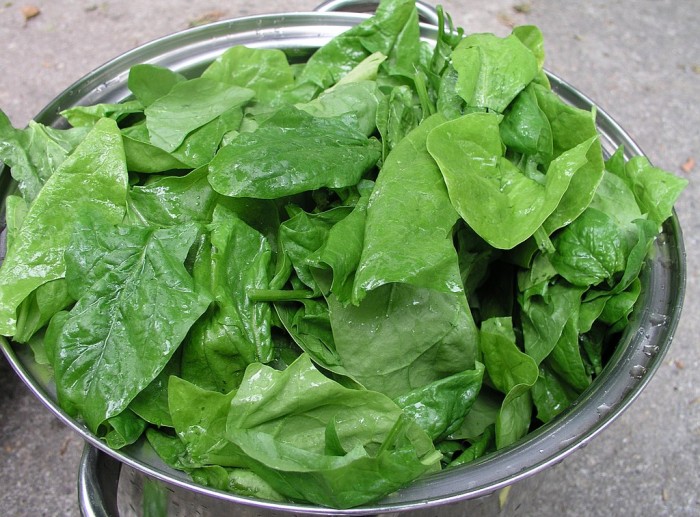 Spinach_leaves (1).jpg