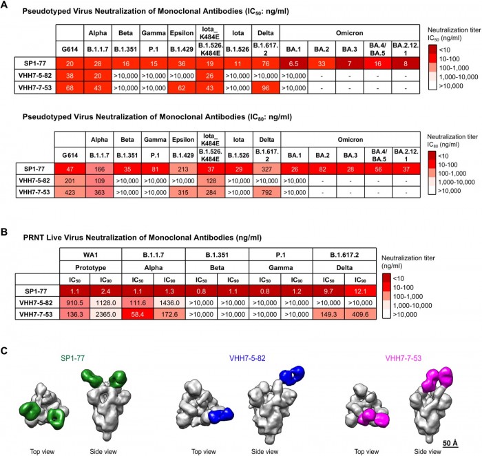 sciimmunol.add5446-f3.jpg