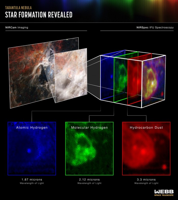 Tarantula-Nebula-NIRSpec-IFU.jpg