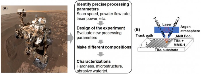 ijac14136-fig-0001-m.jpg