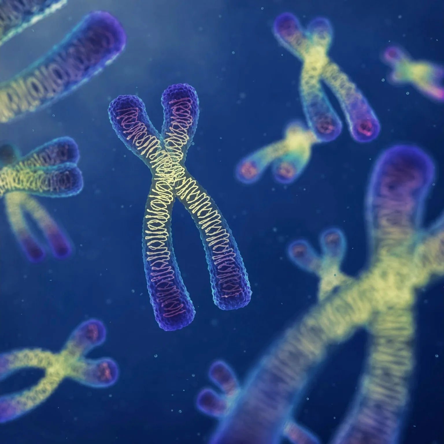 Chromosomes-Science-Illustration-1536x1536.webp