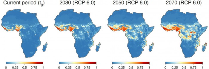 Ecological-Niche-Suitability-for-Lassa-Virus.jpg