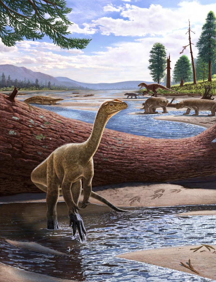 Mbiresaurus-Raathi-scaled.jpg