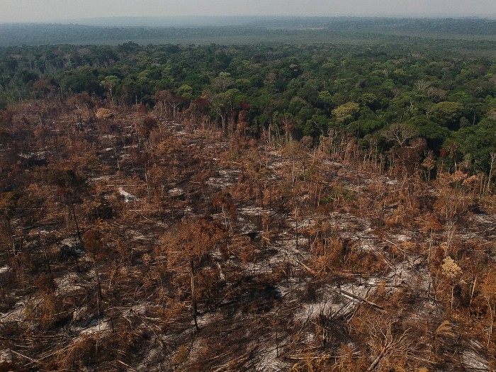 Tropical-Deforestation-Amazon-Brazil.jpg