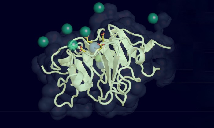 Vitronectin.jpg