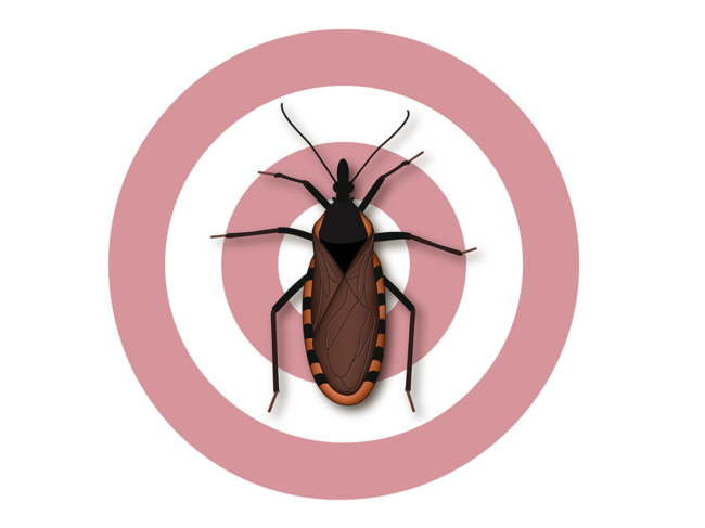 chagas-disease-kissing-bug.png