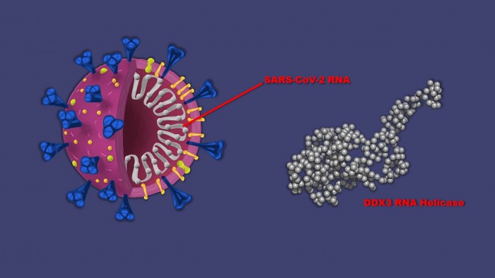 COVID-Cancer-Drug-scaled.jpg