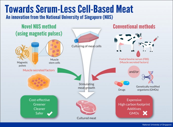 Cell-based-Meat-Infographic.jpg