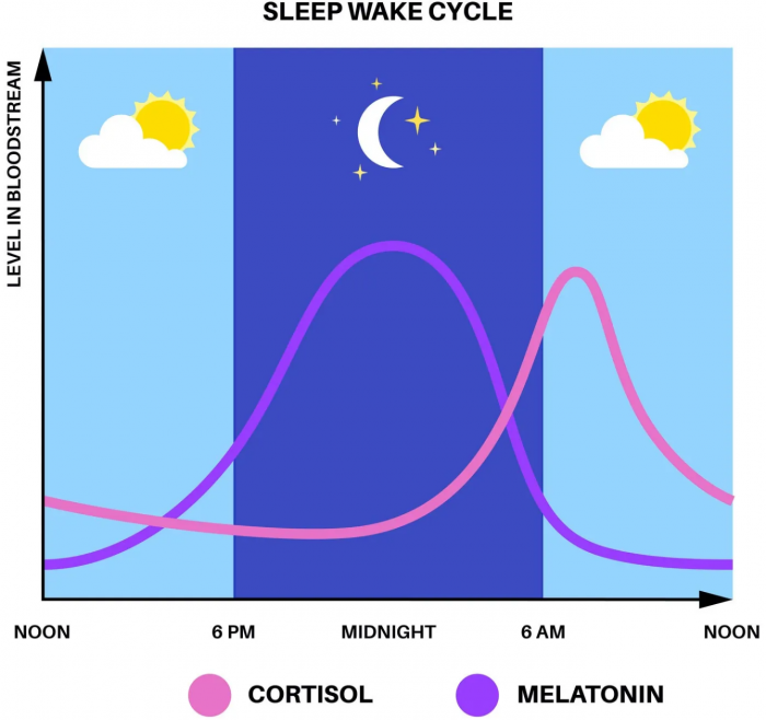 Screenshot_2022-10-16 Sleep-Wake-Cycle jpg（WEBP 图像，1400x1316 像素） — 缩放 (47%).png