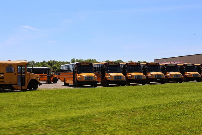 usa-school-bus-school-buses-america-preview.jpg